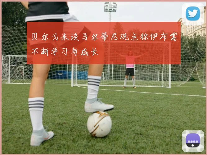 贝尔戈米谈马尔蒂尼观点称伊布需不断学习与成长